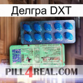 Делгра DXT new02